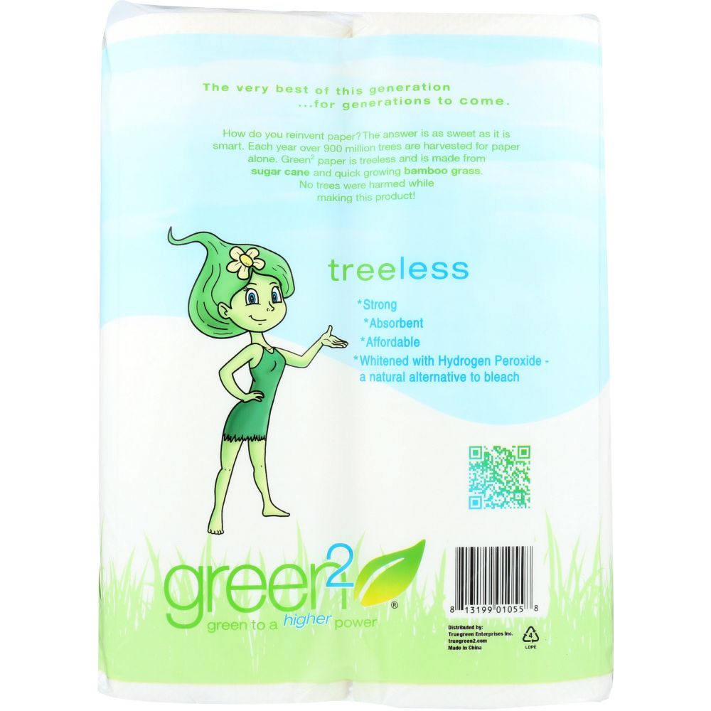 GREEN2: Tree Free Paper Towels 65 2ply Sheets, 2 pc
